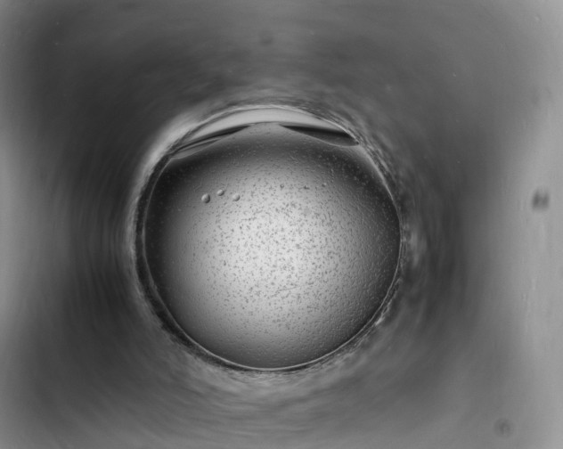 X0000102780006200808251127