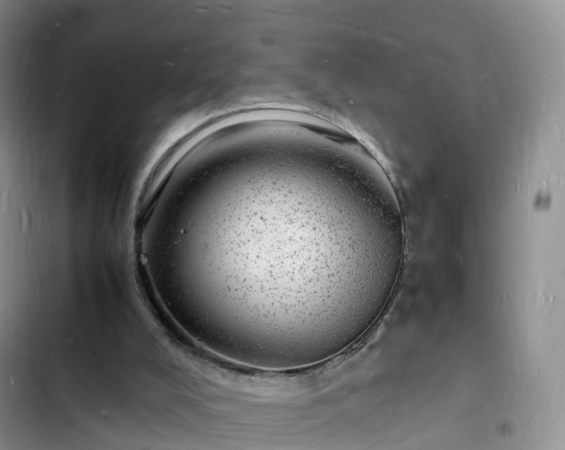 X0000102780008200808251126