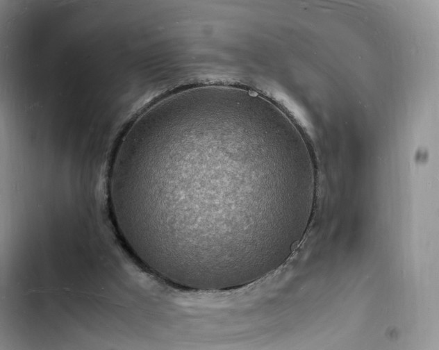 X0000102780009200808251126