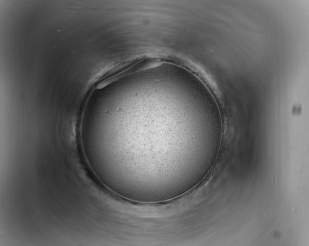 X0000102780010200808251126