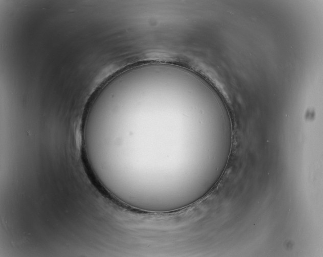 X0000102780011200808251126