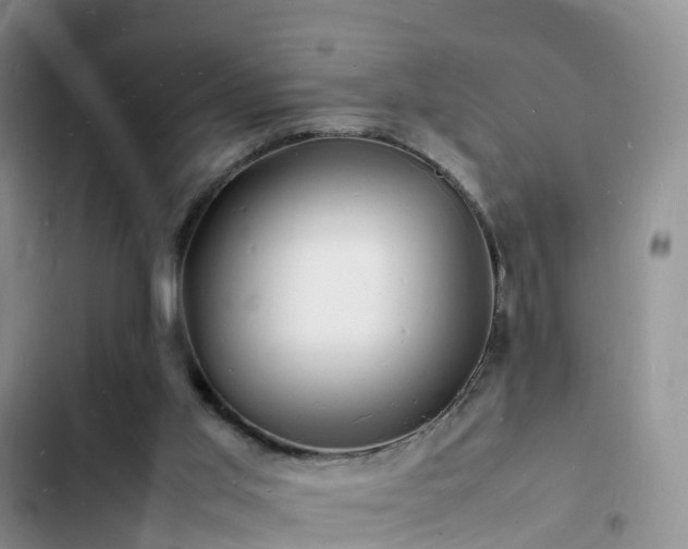 X0000102780013200808251126