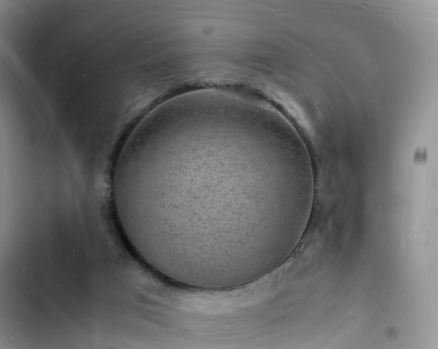 X0000102780017200808251126