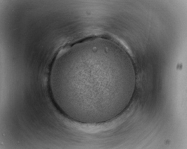 X0000102780018200808251126