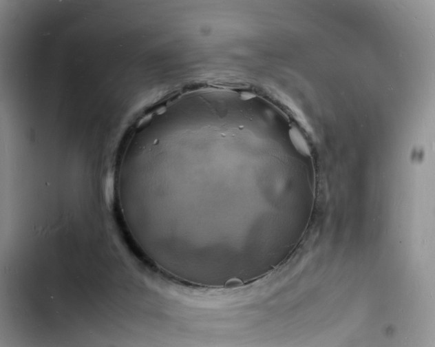 X0000102780019200808251126