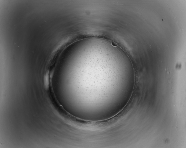 X0000102780020200808251126