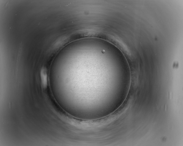 X0000102780022200808251126