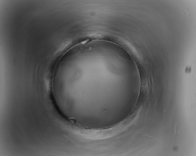 X0000102780023200808251126