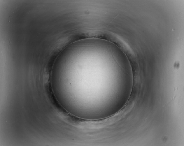 X0000102780025200808251126