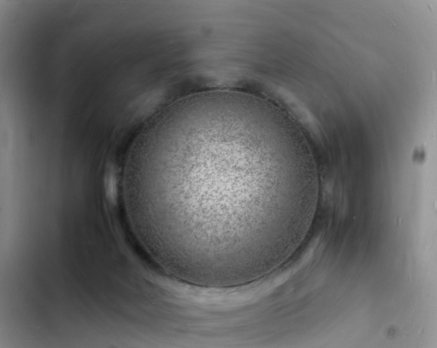 X0000102780026200808251126