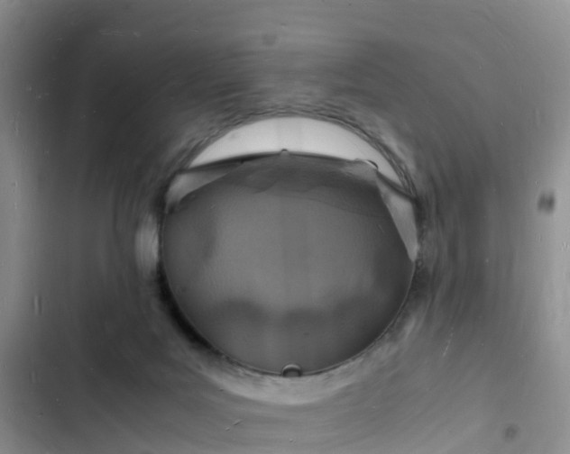 X0000102780027200808251126