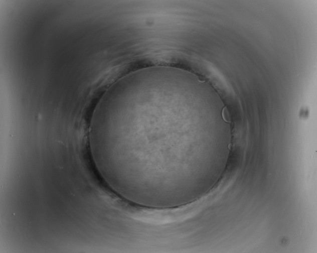 X0000102780029200808251126