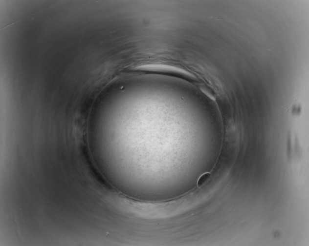 X0000102780030200808251126