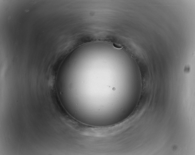 X0000102780033200808251126