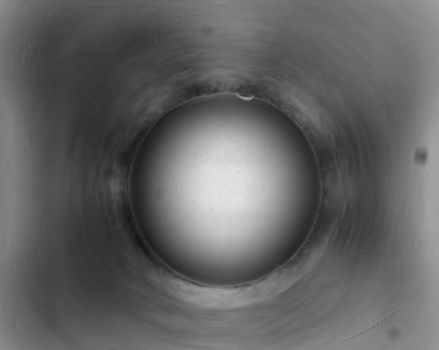 X0000102780034200808251126