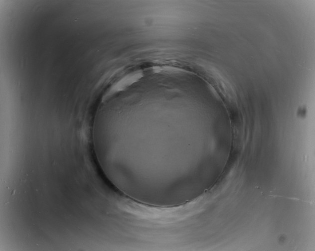 X0000102780035200808251126