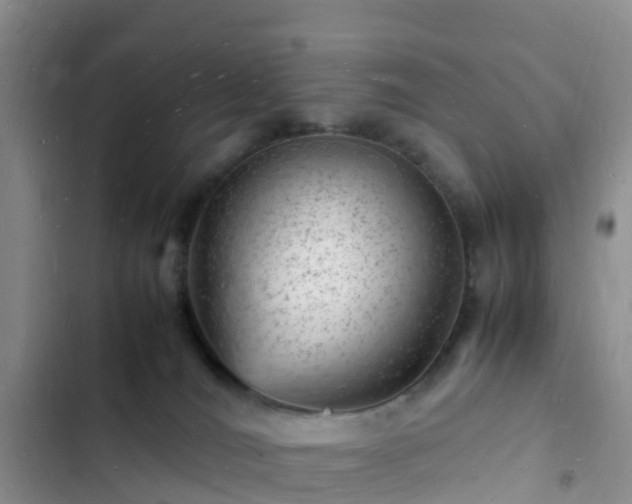 X0000102780036200808251126