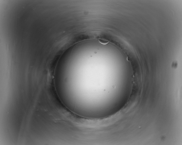 X0000102780037200808251126