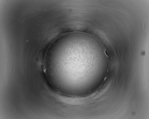 X0000102780040200808251126