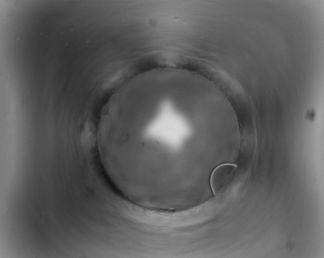 X0000102780043200808251126