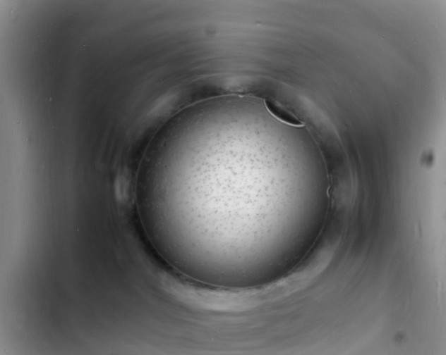 X0000102780044200808251126