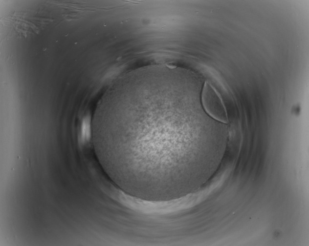 X0000102780046200808251126