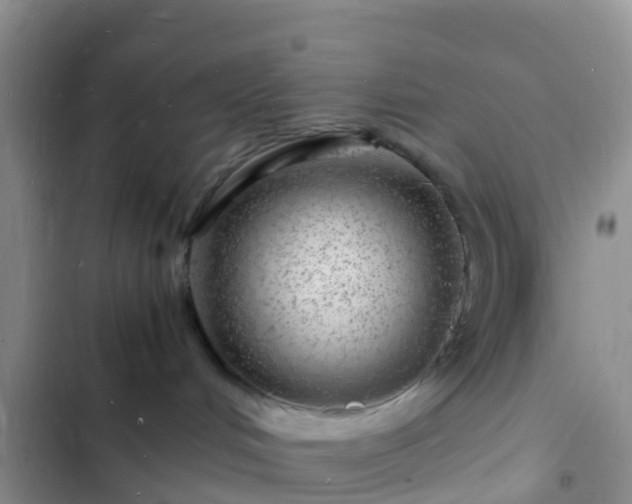 X0000102780048200808251126