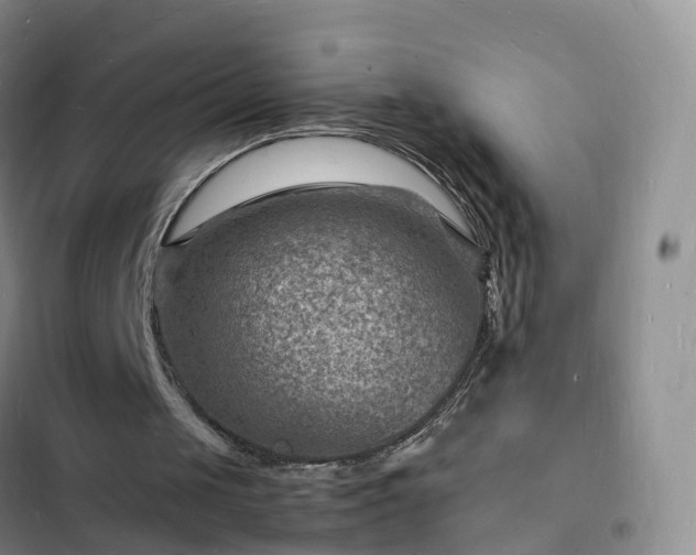 X0000102780049200808251125