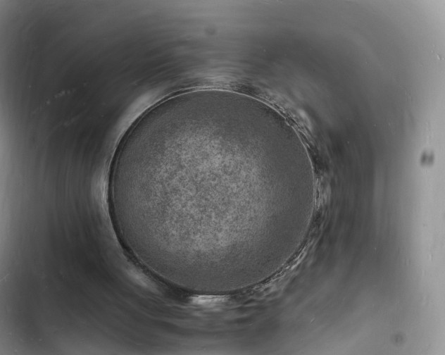 X0000102780051200808251125