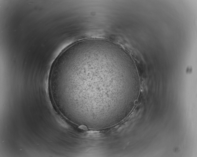 X0000102780052200808251125