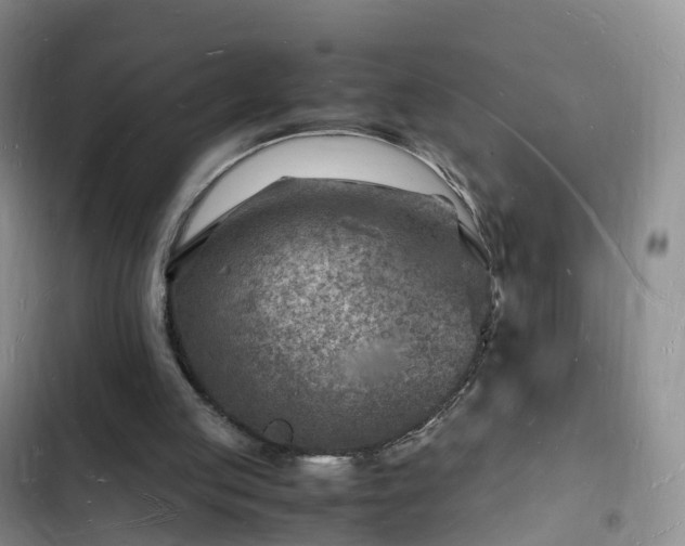 X0000102780053200808251125