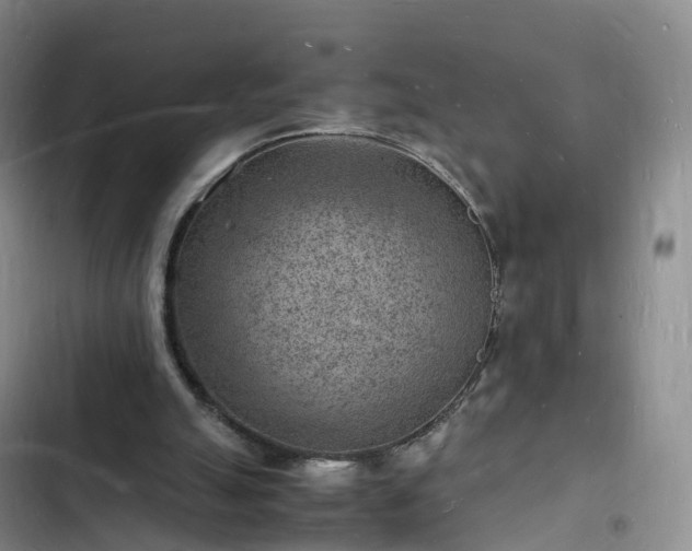 X0000102780055200808251125