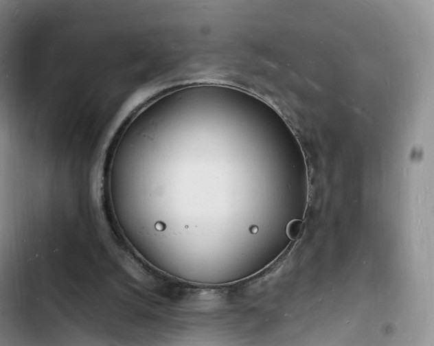 X0000102780056200808251125