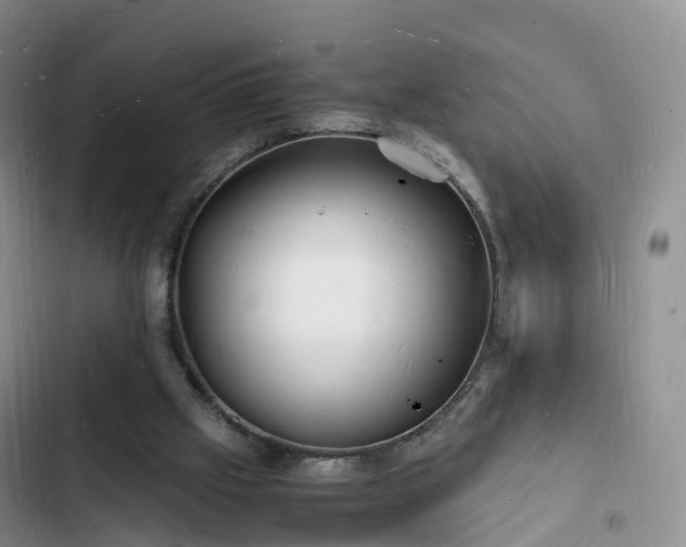 X0000102780057200808251125