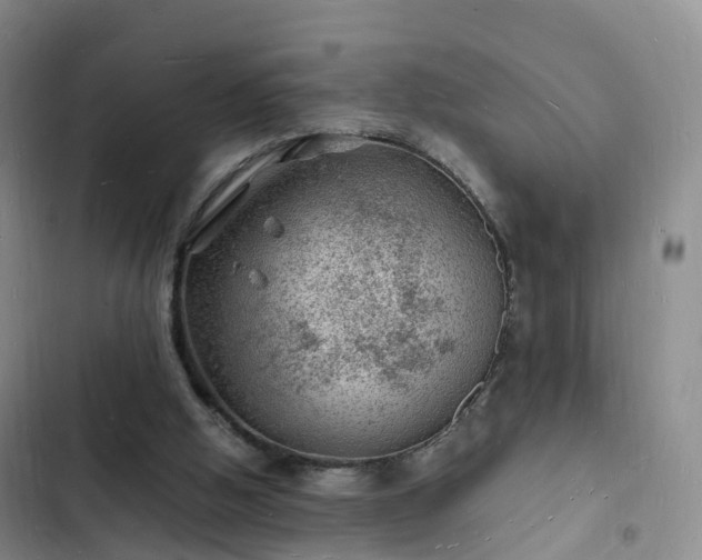 X0000102780058200808251125