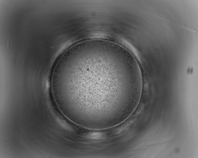 X0000102780059200808251125