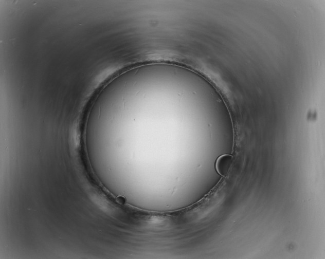 X0000102780060200808251125