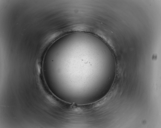 X0000102780062200808251125