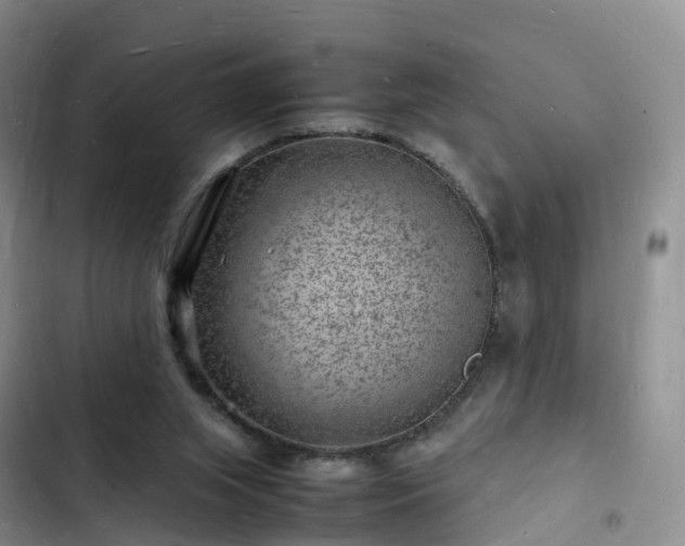 X0000102780063200808251125