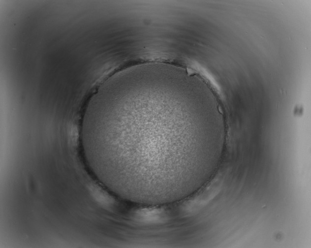 X0000102780065200808251125