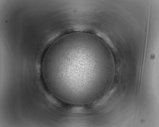 X0000102780066200808251125