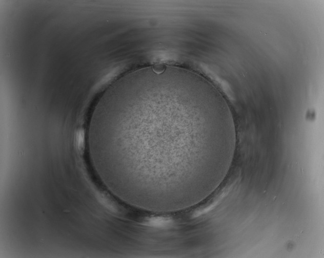 X0000102780067200808251125