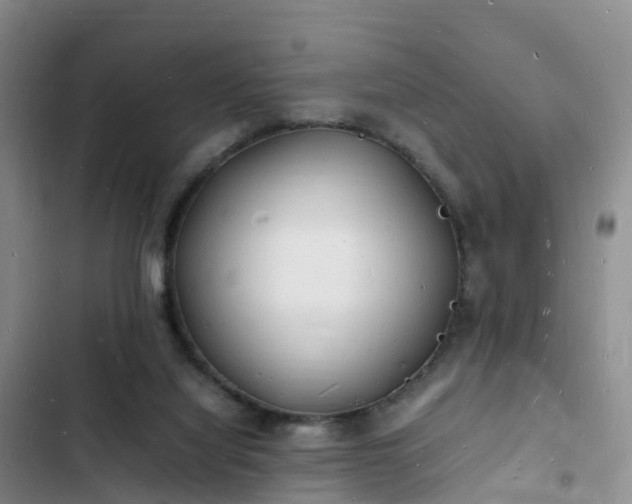 X0000102780068200808251125