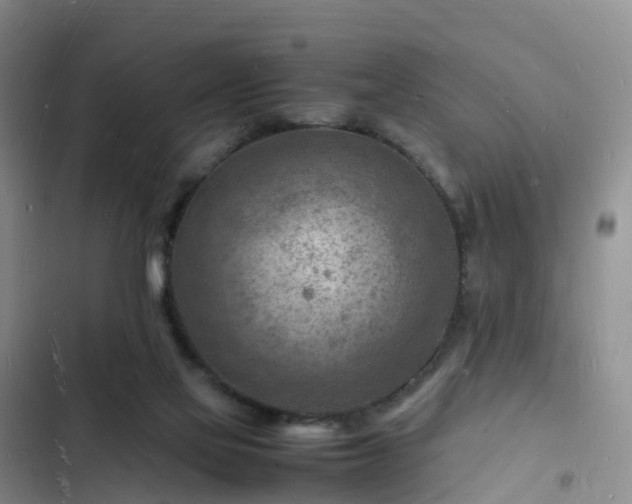 X0000102780069200808251125