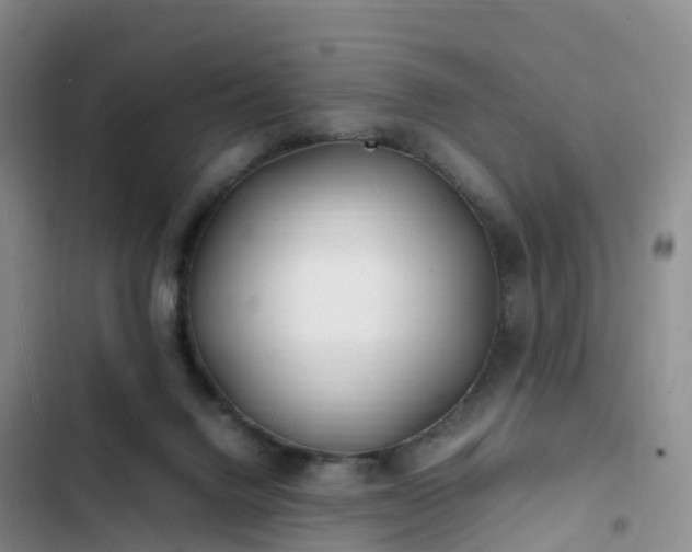 X0000102780072200808251125