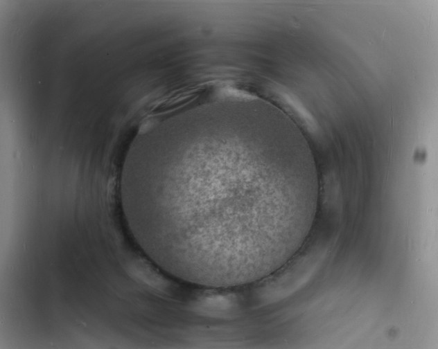 X0000102780073200808251125