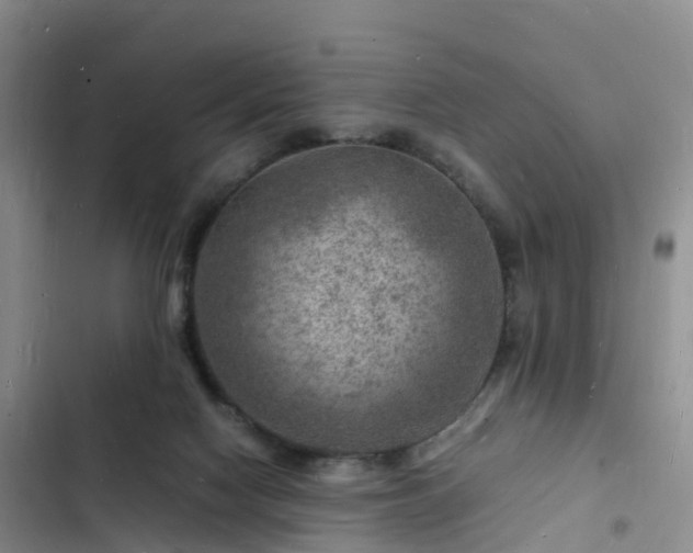 X0000102780074200808251126