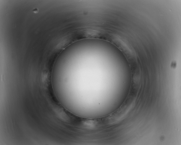 X0000102780079200808251126