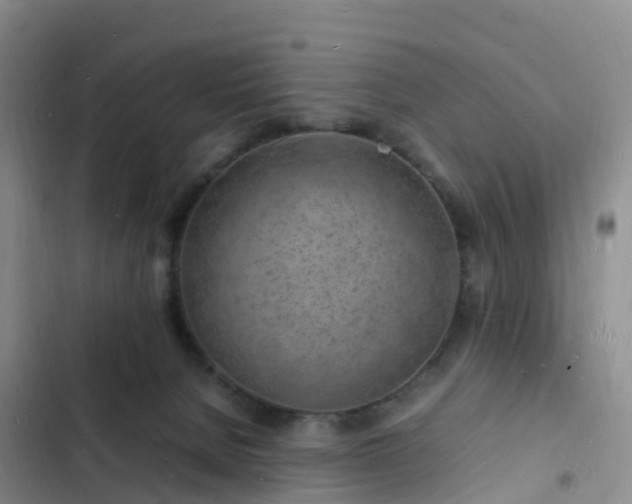 X0000102780080200808251126