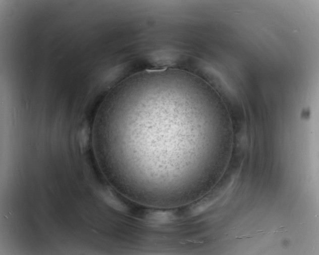 X0000102780081200808251126